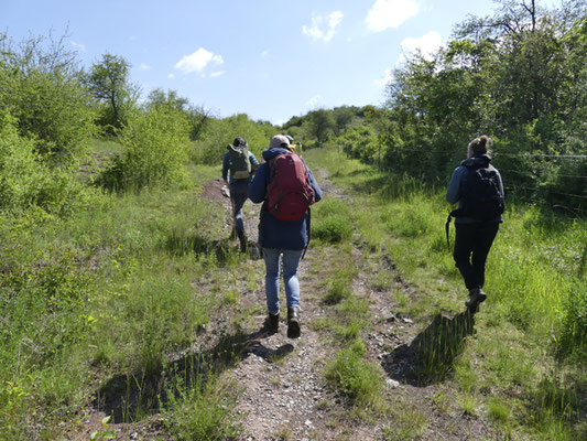 Exkursionsstart ins Gelände bei Spielberg nahe Querfurt