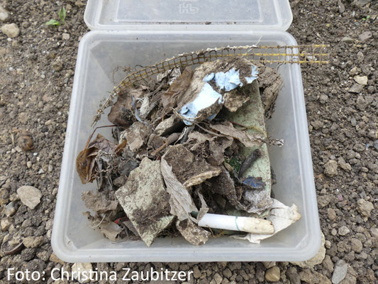 gesammelter Müll aus dem Boden des künftigen Hanggartens