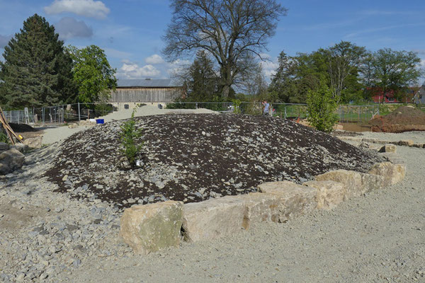 06.05.2023: der künftige Blütenhügel im neuen Ortskern Köttendorf