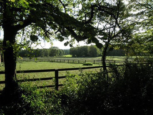 Blick ins Grüne aus der ruhigen Sackgasse an der Ferienwohnung Olli mit Holzzaun im Vordergrund – RUHE. NATUR. ERHOLUNG.