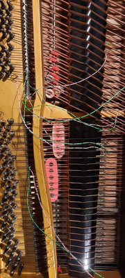 Individual supports combining single and hexa coils