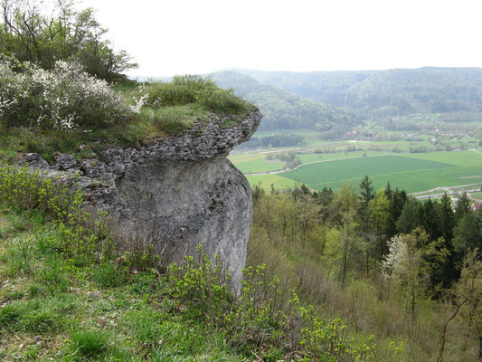 Blick vom Hummerstein bei Gasseldorf hinunter ins Tal der Wiesent