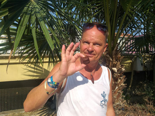 Baci di San Remo: Ein Schokokeks mit Schokoladencremefüllung