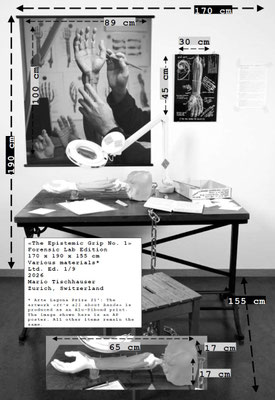 8_Mario Tischhauser_The Epistemic Grip_Installation Size