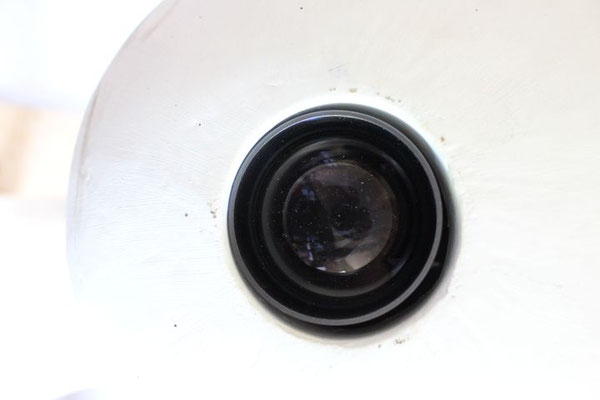 Auge I Detail