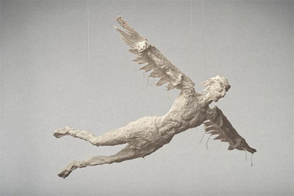 grounded visionary_daedalus flight