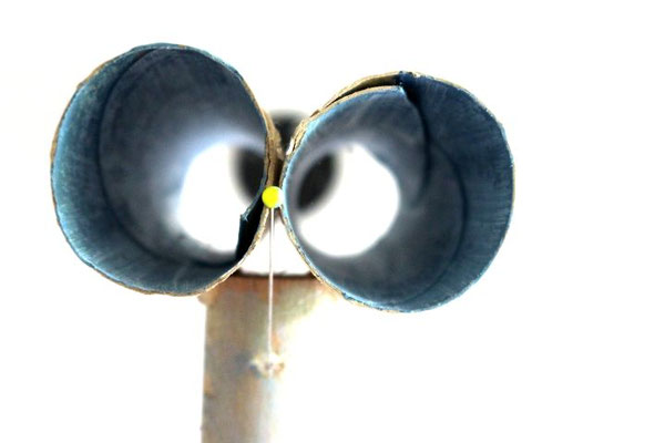 Fokus Detail