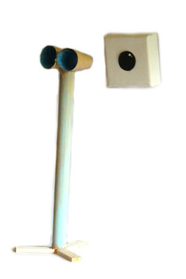Fokus
