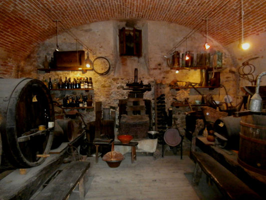 Ecomuseo della vitivinicoltura 