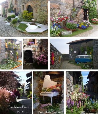 Candelo in Fiore, in Primavera ogni due anni il Borgo viene fiorito dalle aziende florovivaistiche locali (durata 2 settimane, ingresso a pagamento)
