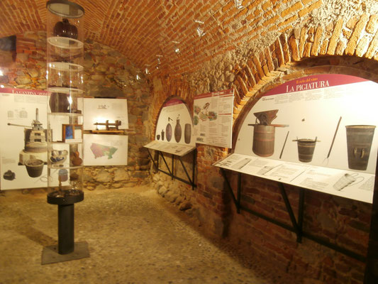 Ecomuseo della vitivinicoltura 