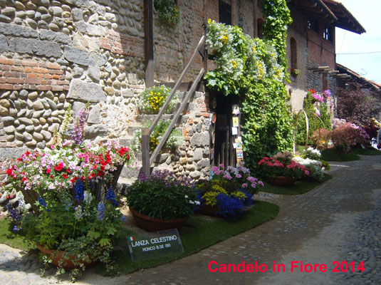 Candelo in Fiore, edizione 2014