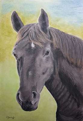 "Coco" Pastell auf Tonpapier DinA4 12.2016