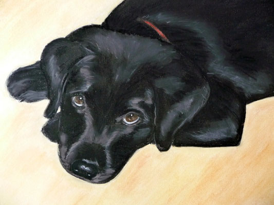 "Blue" Pastell auf Tonpapier 30x40 cm 11.2009