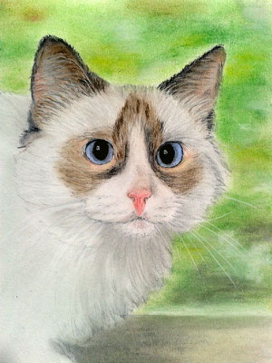 "Imenja" Pastell auf Tonpapier DIN A4 Format 06.2013