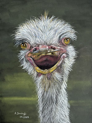 "Strauß" Pastell auf Pastelmat DinA4