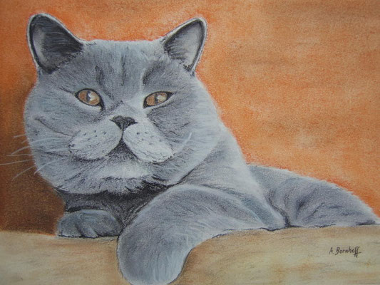 "Murphy (Bella's Vater)" Pastell auf Tonpapier DIN A4 Format 02.2006
