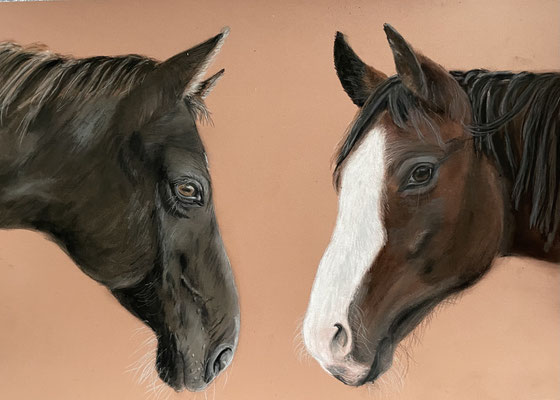 "Skala und Sonny" auf Tonpapier 30x40cm 01.2023
