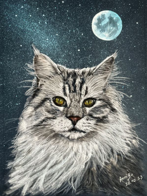 "Unser Rusty" Maine Coone, Pastell auf Pastelmat DinA4 10.2023 