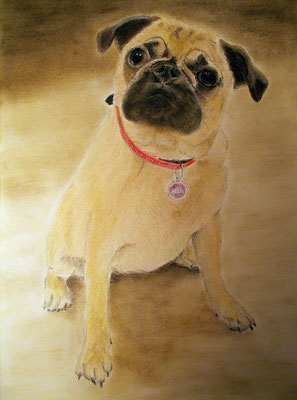 "Brunhilde" Pastell auf Tonpapier 40x30 cm 12.2014