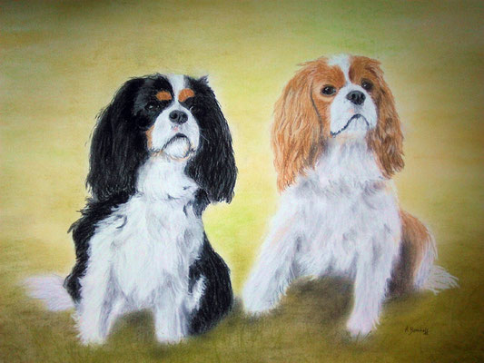 "Pippi und Poco" Pastell auf Tonpapier 40x50 cm 03.2015