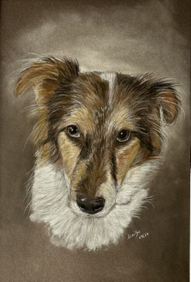 "Boomer" Pastell auf Karton 04.2024