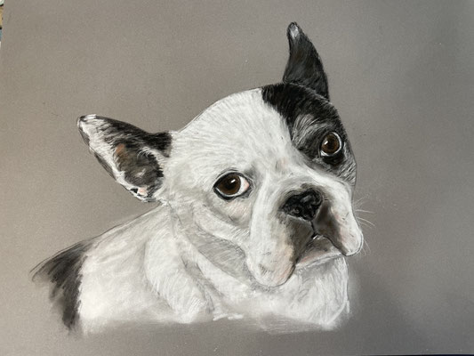Pastell auf Pastelmat DinA4 01.2023