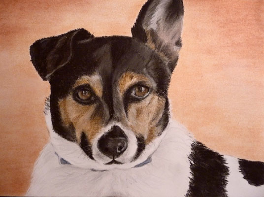 "Toni" Pastell auf Tonpapier DIN A4 Format 12.2011