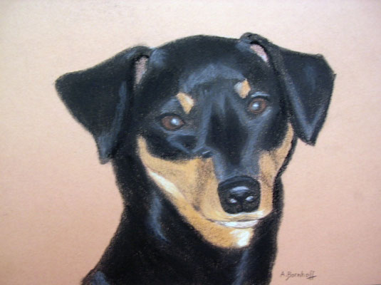 "Sheila" Pastell auf Tonpapier DIN A4 Format 12.2005