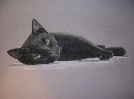 "Black Cat" Pastell auf Tonpapier 24x30 cm 10.2005