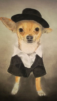 "Milow" Pastell auf Tonpapier DIN A4 Format 01.2016
