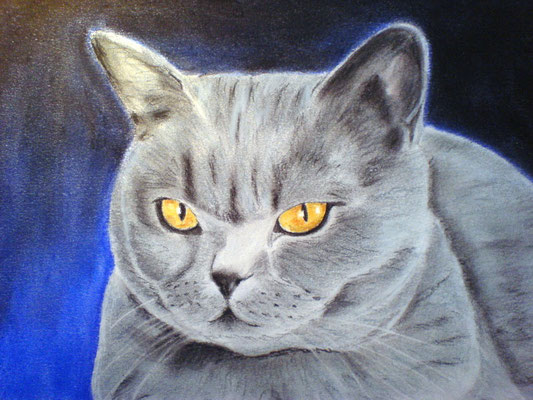 "Unsere Bella (BKH 16.Monate)" Pastell auf Tonpapier DIN A4 Format 03.2007