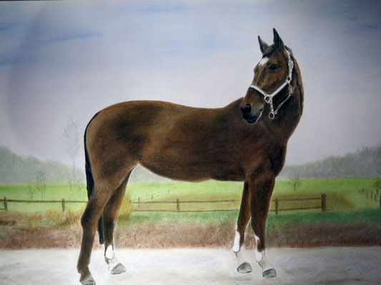 "Süße" Pastell auf Tonpapier 50x70 cm 12.2013