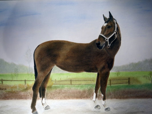 "Süße" Pastell auf Tonpapier 50x70 cm 12.2013