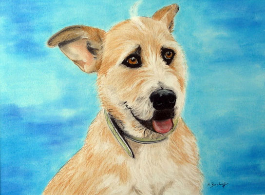 "Gina" Pastell auf Tonpapier 40x50 cm 07.2011