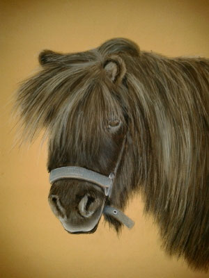 "Lilly" Pastell auf Tonpapier 30x40 cm 06.2013