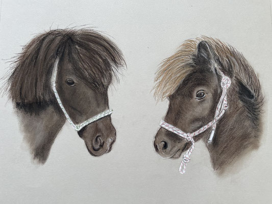 Frieda und Tessa" auf Tonpapier 30x40cm 02.2023