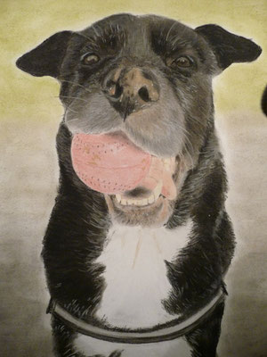 "Leila" Pastell auf Tonpapier 40x30 cm 11.2013