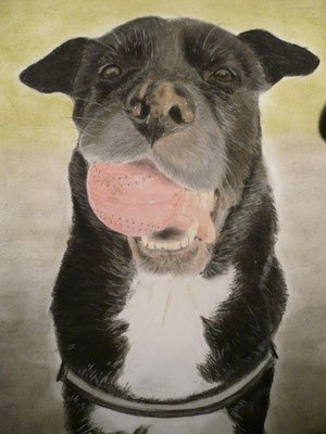 "Leila" Pastell auf Tonpapier 40x30 cm 11.2013