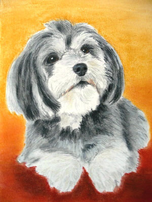 "Nellie" Pastell auf Tonpapier DIN A4 Format 02.2010