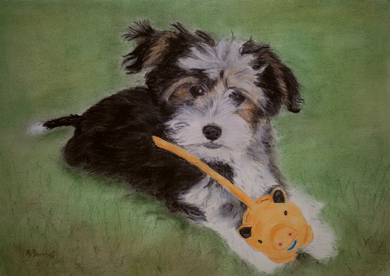 "Debby" Pastell auf Tonpapier 20x30cm  05.2015