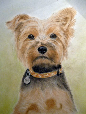 "Rusty" Pastell auf Tonpapier DIN A4 Format 11.2013