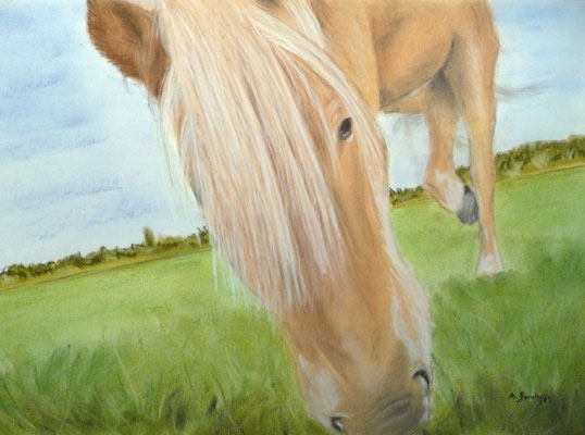 "Surprise" Pastell auf Tonpapier 30x40 cm 09.2013
