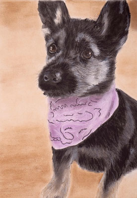 "Jean" Pastell auf Tonpapier 40x30 cm 05.2014