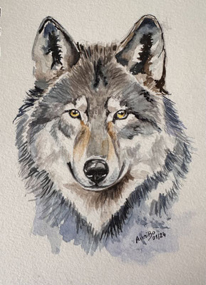 "Wolf" Aquarell im Skizzenbuch 01.2024