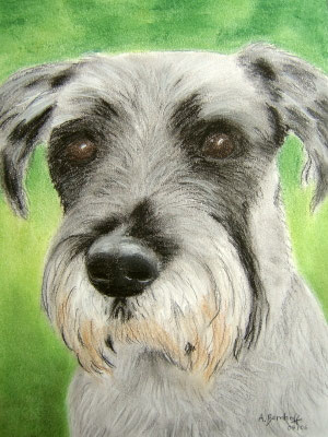 "Skipper" Pastell auf Tonpapier DIN A4 Format 04.2006