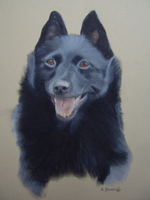"Maxi" Pastell auf Tonpapier DIN A4 Format 02.2006