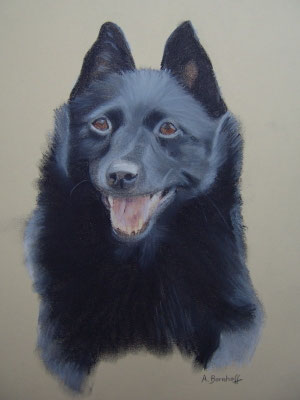 "Maxi" Pastell auf Tonpapier DIN A4 Format 02.2006