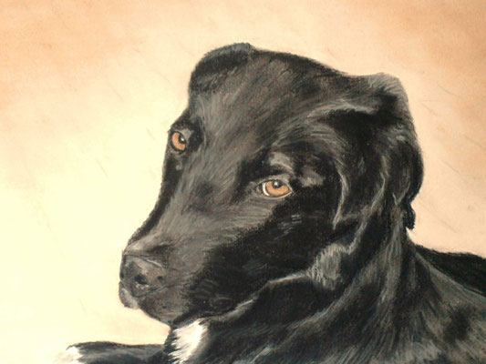 "Kessy" Pastell auf Tonpapier 30x40 cm 11.2011