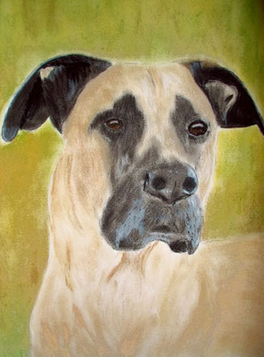 Pastell auf Tonpapier 40x30 cm 10.2014